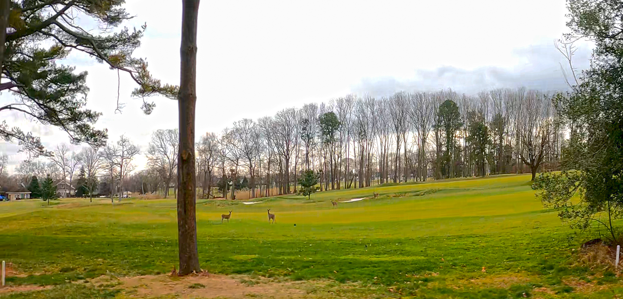 Greater Manasquan New Jersey Shore Beach & Inlet